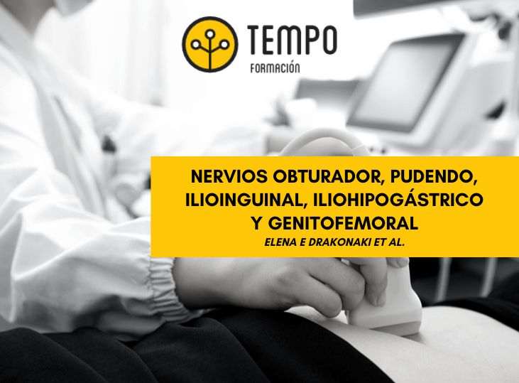 nervio-obturador-nervio-pudendo-nervio-ilioinguinal-nervio-iliohipogastrico-y-nervio-genitofemoral-ecografia